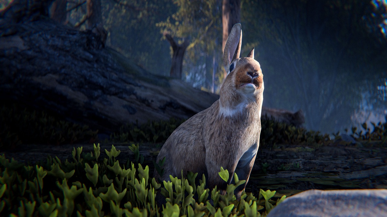 Small wildlife